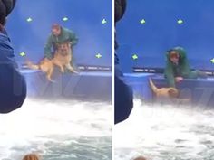 A Dog S Purpose Video Was Faked A Dog S Purpose Video Was Faked