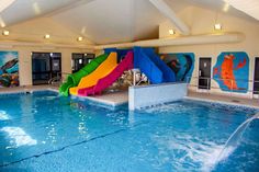 60 Swimming Pool Ideas Swimming Pools Pool Swimming Pool Designs