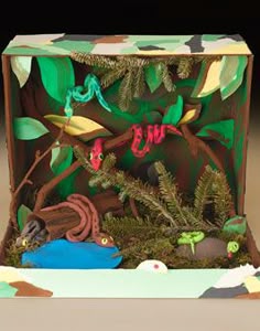 58 best shoebox habitats images on pinterest school projects