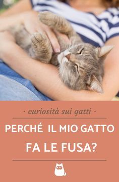 larte di compilazione pompino