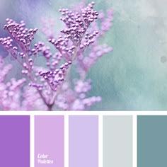 Color Palette 2931 Ideas For Work Color Palette 1962