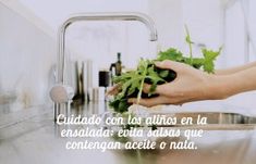 Espirulina para bajar de peso precious moments