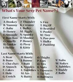Pin By Sam Cruse On Anime Pet Names Funny Name Generator Names