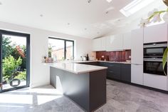 Fly Looks White On Roof In Kitchen Fly Looks White On Roof In Kitchen