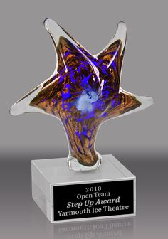 Express Medals 6.5 Inch Clear Acrylic Star Science Fair Project Superstar Trophy Awards Pack of 6 Express Medals 6.5 Inch Clear Acrylic Star Science Fair Project Superstar Trophy Awards Pack of 6