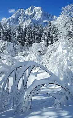 Marvelous Delta Snow Sledge Pink