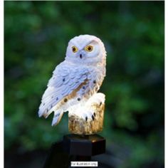 453 Best Owl Always Love Owls Images Barn Ideas Solar Ed White Snowy Owl Stake Light