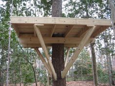 Build a Treehouse | Pinterest | Tree houses, 30th and House Build a Treehouse | Pinterest | Tree houses, 30th and House