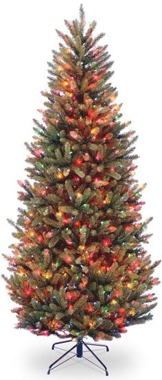 1000 FRASER FIR TREE SEEDS EVERGREEN CHRISTMAS TREE NEW YEARS GRAB BAG ONLY 2