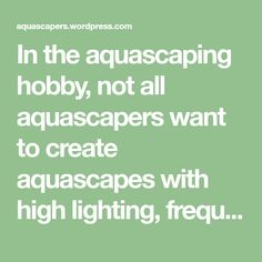 60 best aquarium images
