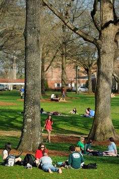 Ole miss admissions essay
