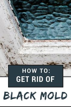 24 Best Toxic Black Mold Images Get Rid Of How To Remove Black Mold