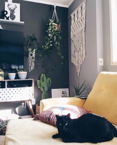 66446 best bohemian vibes