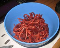 30 carnivorously gory confections ideas for halloweenhalloween foodsholiday - Gory Halloween Food Ideas 30 carnivorously gory confections ideas for halloweenhalloween foodsholiday - Gory Halloween Food Ideas