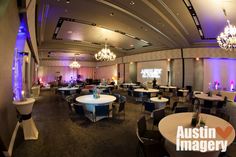 26 Best W Hotel Austin Wedding By Imagery Images On W Austin Hotel Wedding By Imagery Photography Dog