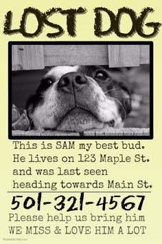 12 best lost pet and pet adoption flyers images losing a pet lost pet flyers