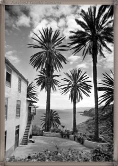 120 Ideas De Fotos Antiguas De Las Islas Canarias Islas Canarias Fotos Antiguas Islas