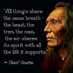 an analysis of native american wisdom by chief seattle an analysis of native american wisdom by chief seattle