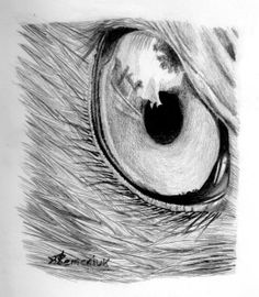 121 best reflections images on pinterest eyes reflection and draw