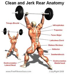 power clean techniques1 f i t pinterest olympic clean and press form