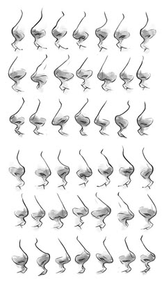 113 best character anatomy nose images on pinterest in 2018