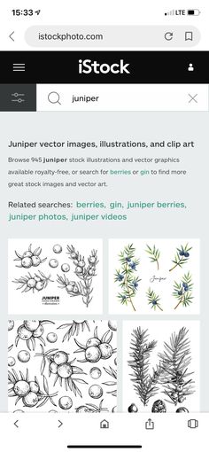 12 Treaty Drawings Ideas Drawings Plant Drawing Botanical Illustration Black And White