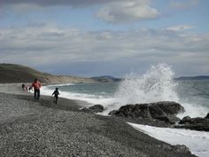 36 Best Washington State Beaches Images Photo Some Great Fun On South Beach San Juan Island Wa Photo Credit Wayne Cragg Www Washingtonstatedestinations