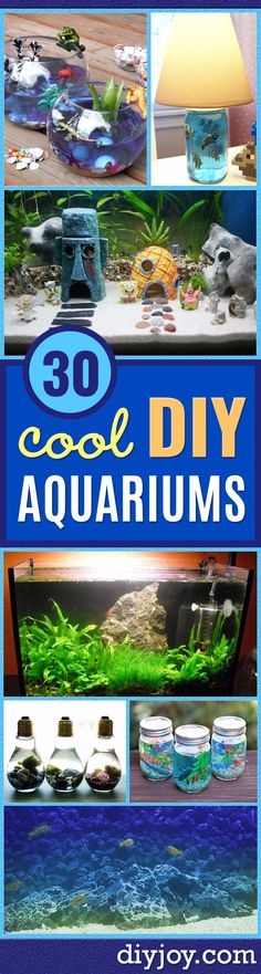 13 best fish tank