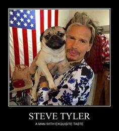 552 Best FUNNY PUG DOG MEMES LOL images in 2018 | Baby ... 552 Best FUNNY PUG DOG MEMES LOL images in 2018 | Baby ...