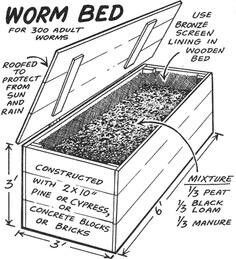 120 Night Crawlers Ideas Worm Farm Vermiculture Worm Composting