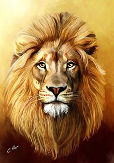 izu the lion tattos pinterest drawings pencil drawings and art