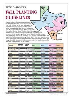 The Fall Ve able Garden begins in July good article for The Fall Ve able Garden begins in July good article for Houston Ve able gardening in the south really es into its own as we move into the…
