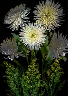 Spider mums and goldenrod Дикие Цветы, Сады, Трафаретные Печати, Растения, Георгины, Художники, Экзотические Цветы, Naturaleza, Ландшафт
