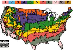 17 Best Gardening Zone 6 And 6a Images On Pinterest Zip Code Search Garden Hardiness Zone Finder Gardening Map Utah