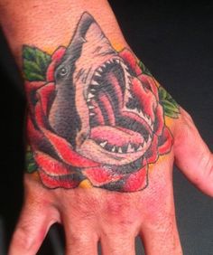 38 best shark hand