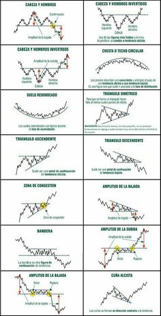 Forex entourage comp plan