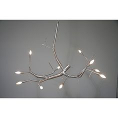 The 149 Best Lighting Images On Pinterest Light Fixtures Ceiling Cp Lighting Newgrowth Branch