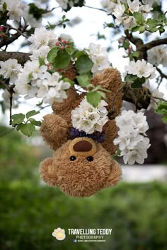 Gund Valentine Bear Little Honeybunch 8/" NEW