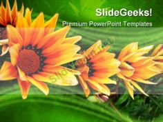 garden powerpoint templates