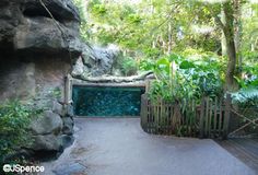 67 best aquarium public
