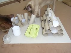 Diy Puzzle Feeder For Cats Ideas Pinterest Cat Do It Yourself Katzenfummelbrett Selber Bauen Diy Cat Toy Feederpuzzle