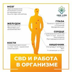 Подобие конопли Подобие конопли установить плагины для тор браузера hudra