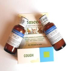 Natural Remedies For Tonsillitis In Dogs Natural Remedies For Tonsillitis In Dogs