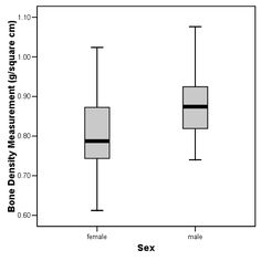 box plot graph