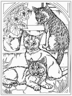 Pretty Cat Coloring Pages For Adult Printable | Adult coloring ... Pretty Cat Coloring Pages For Adult Printable | Adult coloring ...