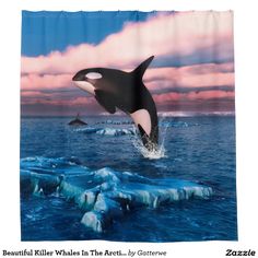 A family of orca whales swimming in the ocean Shower Curtain Fabric /& 12Hooks