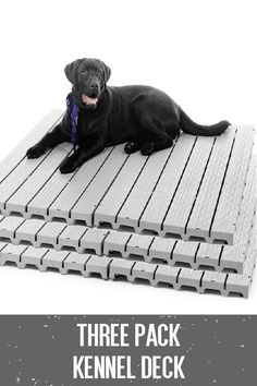 Dog Kennel Flooring For Outdoor And Indoor Dog Kennel Flooring For Outdoor And Indoor