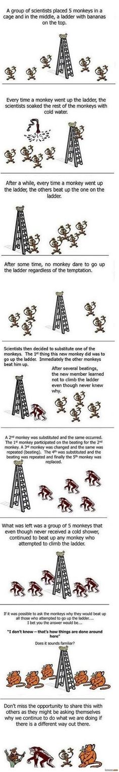 Psychology from all Angles: Interesting, Entertaining and Weird Stories
