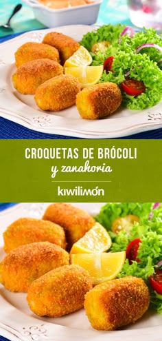 Patricia Patricia Roxmer Perfil Pinterest