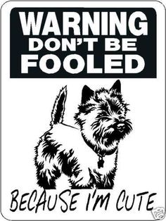 CAIRN TERRIER ALUMINUM DOG SIGNS D3305